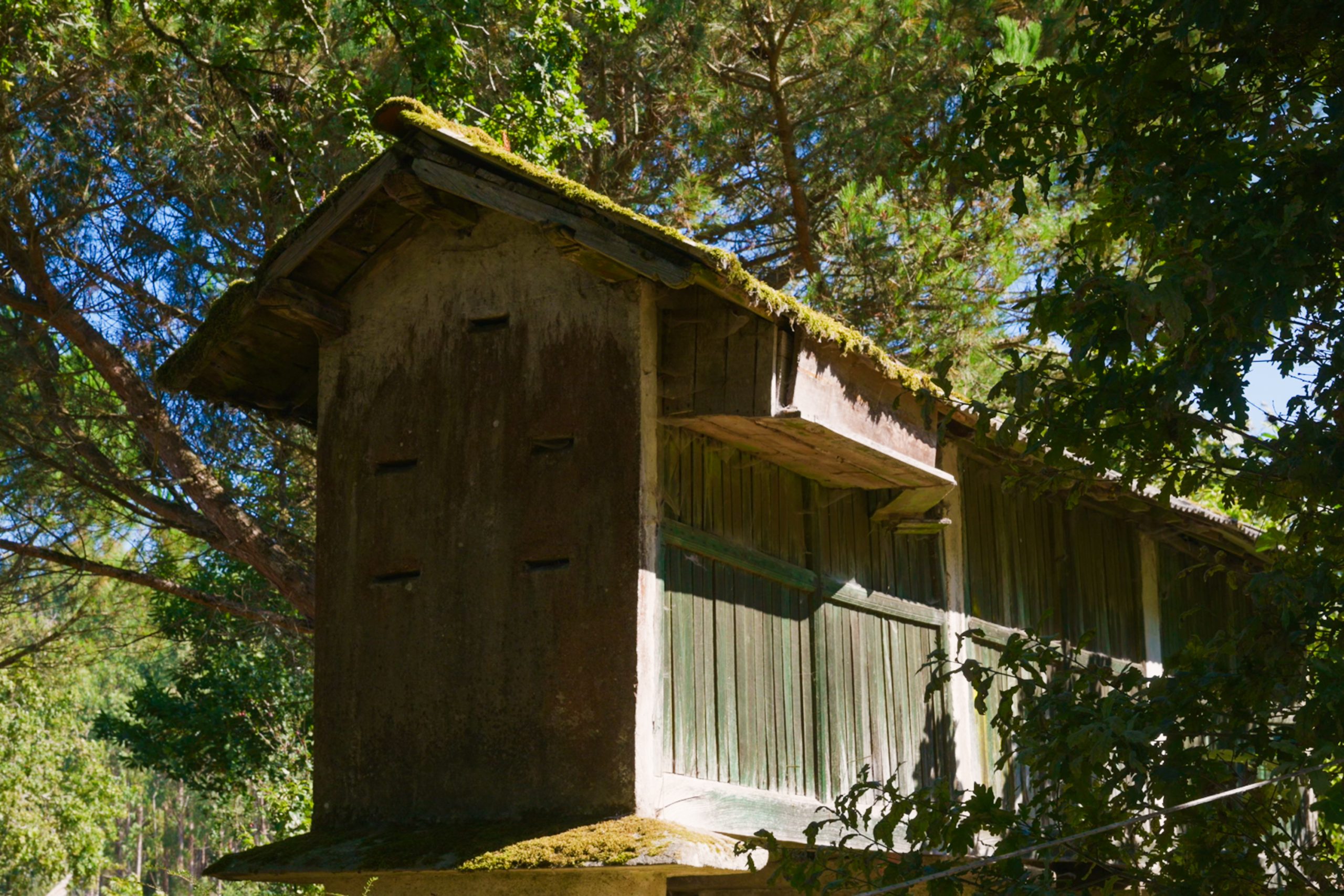 TAKO GROUP SOCIEDADE COOPERATIVA GALEGA